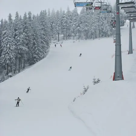 Klinovec * Loučná pod Klínovcem